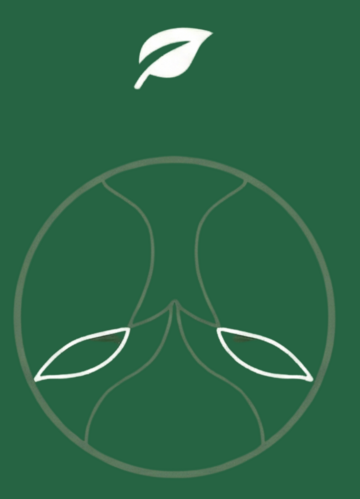6.png